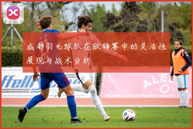 成都羽毛球队在欧锦赛中的灵活性展现与战术分析