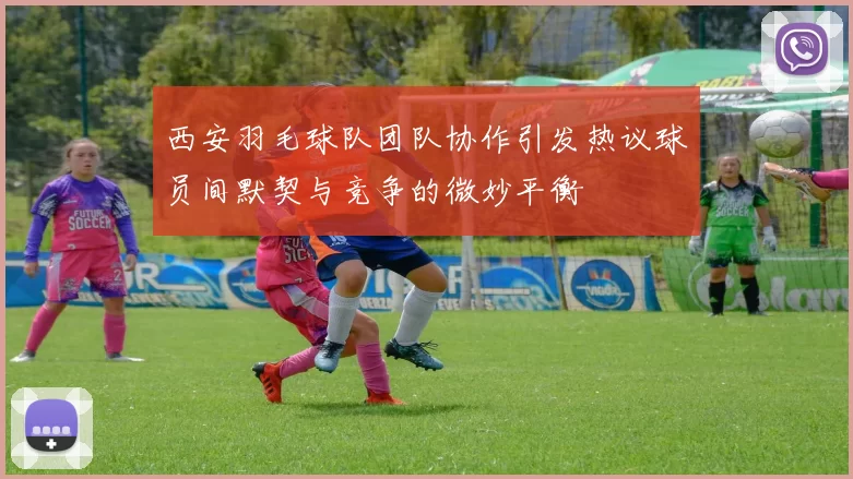 西安羽毛球队团队协作引发热议球员间默契与竞争的微妙平衡