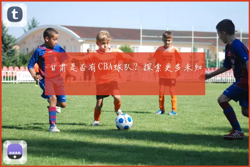 甘肃是否有CBA球队？探索更多未知