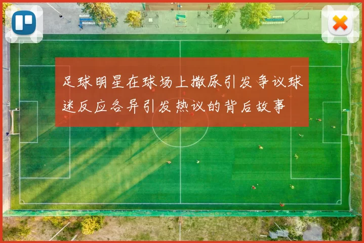 足球明星在球场上撒尿引发争议球迷反应各异引发热议的背后故事