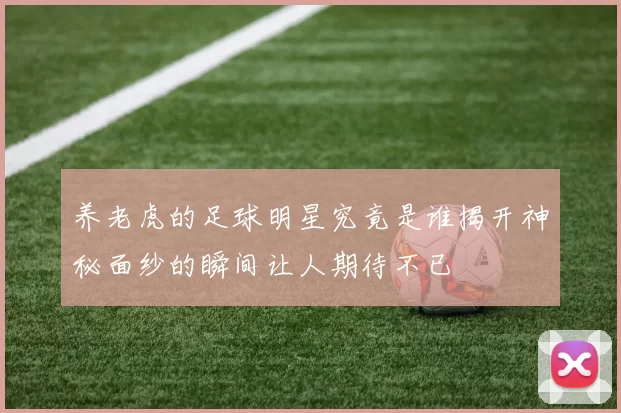养老虎的足球明星究竟是谁揭开神秘面纱的瞬间让人期待不已