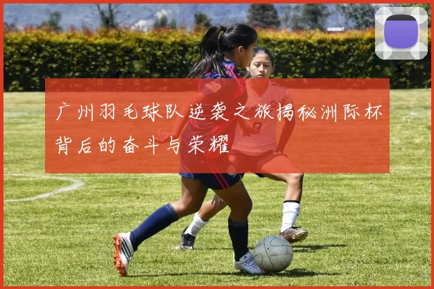 广州羽毛球队逆袭之旅揭秘洲际杯背后的奋斗与荣耀