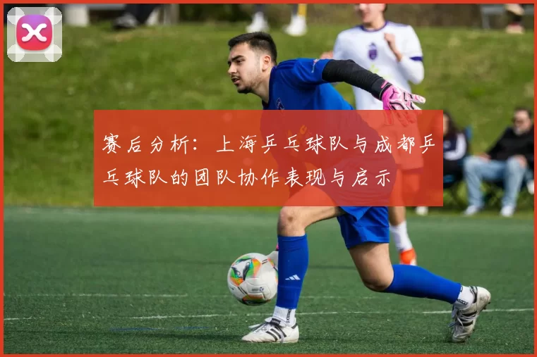 赛后分析：上海乒乓球队与成都乒乓球队的团队协作表现与启示