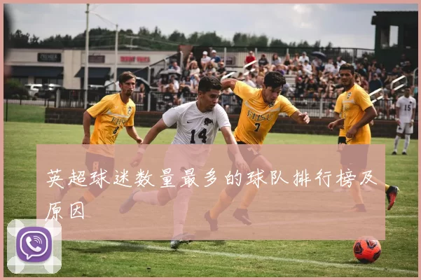 英超球迷数量最多的球队排行榜及原因
