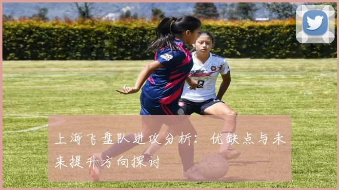 上海飞盘队进攻分析：优缺点与未来提升方向探讨