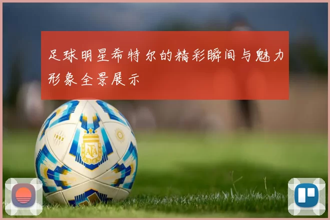 足球明星希特尔的精彩瞬间与魅力形象全景展示