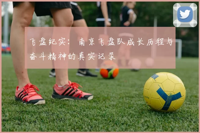 飞盘纪实：南京飞盘队成长历程与奋斗精神的真实记录