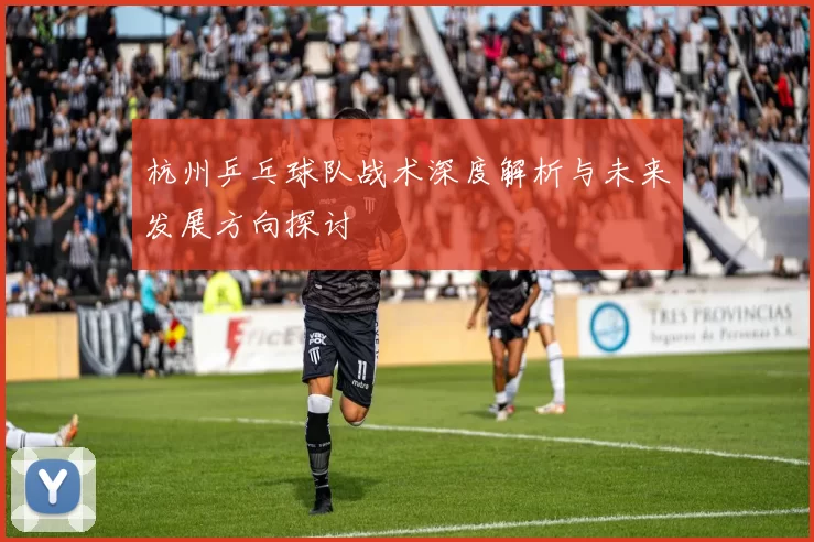 杭州乒乓球队战术深度解析与未来发展方向探讨
