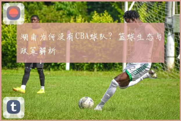 湖南为何没有CBA球队？篮球生态与政策解析