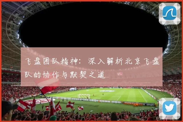 飞盘团队精神：深入解析北京飞盘队的协作与默契之道