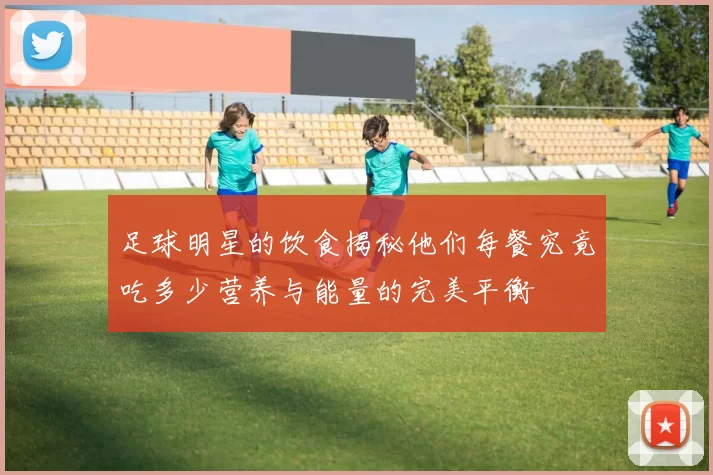 足球明星的饮食揭秘他们每餐究竟吃多少营养与能量的完美平衡