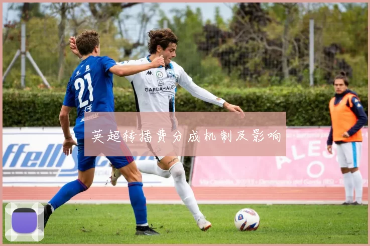 英超转播费分成机制及影响