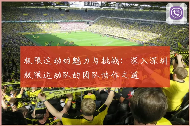 极限运动的魅力与挑战：深入深圳极限运动队的团队协作之道