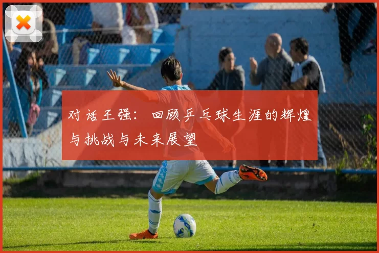 对话王强：回顾乒乓球生涯的辉煌与挑战与未来展望