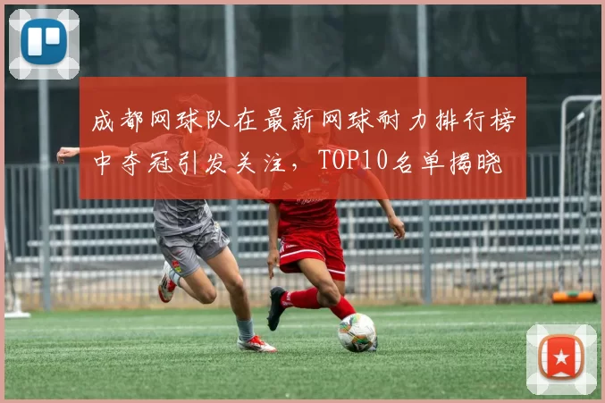 成都网球队在最新网球耐力排行榜中夺冠引发关注，TOP10名单揭晓
