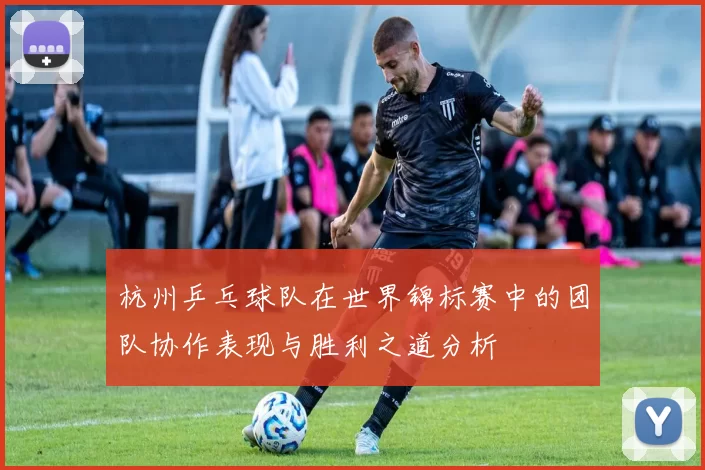 杭州乒乓球队在世界锦标赛中的团队协作表现与胜利之道分析