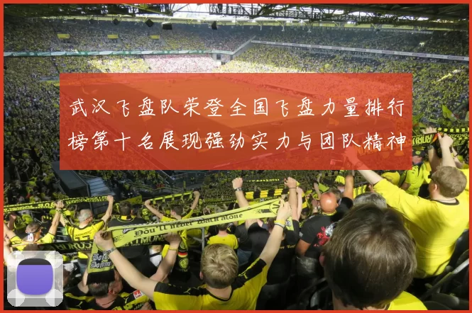 武汉飞盘队荣登全国飞盘力量排行榜第十名展现强劲实力与团队精神