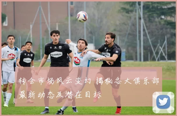 转会市场风云变幻 揭秘各大俱乐部最新动态及潜在目标