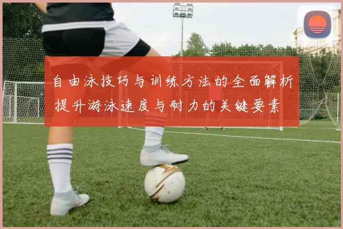 自由泳技巧与训练方法的全面解析 提升游泳速度与耐力的关键要素