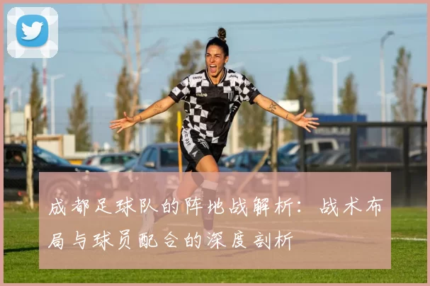 成都足球队的阵地战解析：战术布局与球员配合的深度剖析