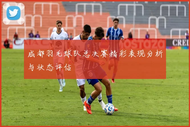 成都羽毛球队总决赛精彩表现分析与状态评估