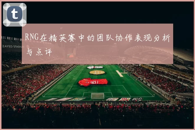 RNG在精英赛中的团队协作表现分析与点评