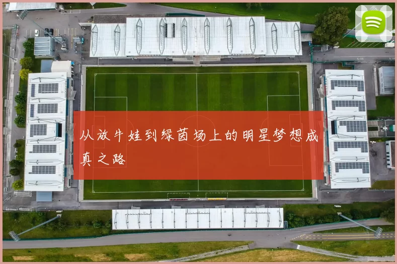 从放牛娃到绿茵场上的明星梦想成真之路